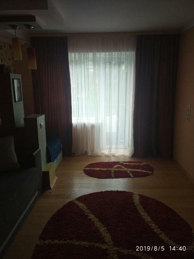 Apartment On Danyla Galytskogo 8A مورشيم المظهر الخارجي الصورة